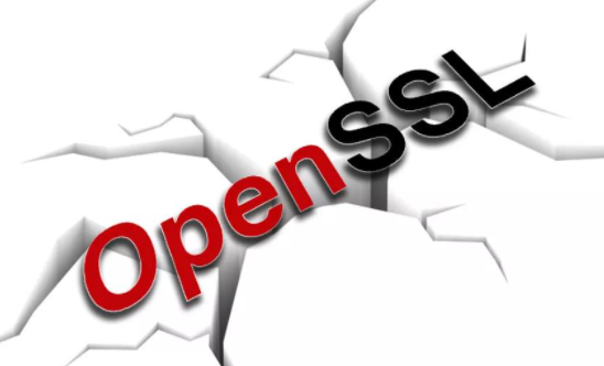 OpenSSL�����徲�������޸���Ʒ�е�2���徲���.png