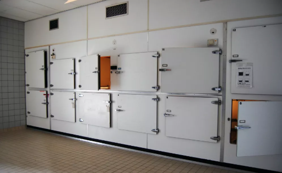 SophosLabs��¶AvosLocker��һ�ֹ����˶���ϸ��.png