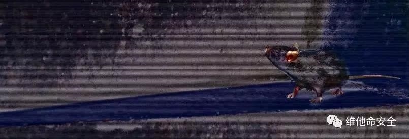 ku����(����)�ٷ���վ